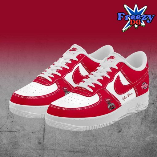 Ohio State Buckeye Custom Nike Air Force 1