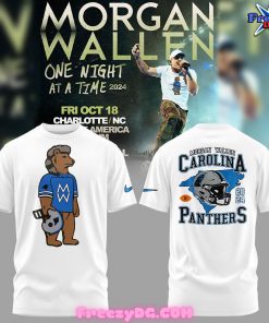 Carolina Panthers Keep Pounding 2024 Gray T-Shirt